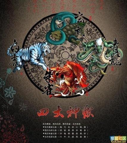 兽印视频,探寻神秘兽印背后的传奇故事