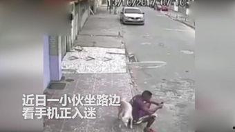 欧美撒尿视频,揭秘令人捧腹的撒尿视频现象