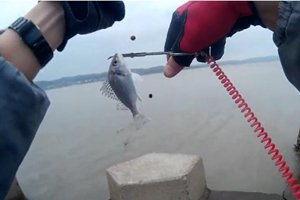 浮游矶钓视频,揭秘浮游矶钓的魅力瞬间